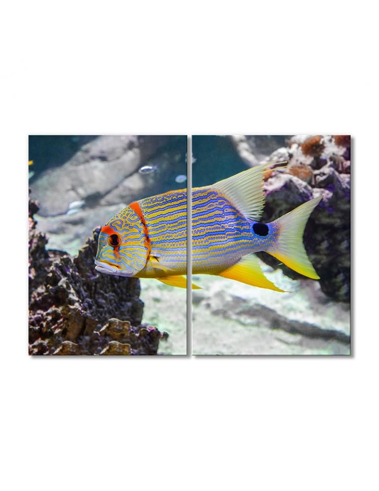 Картина модульная Рыбка с желтыми плавниками 2 модуля 70x105 см