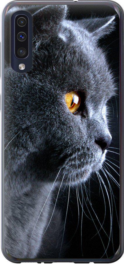 Чехол на Samsung Galaxy A30s A307F Красивый кот (3038u-1804-42517)
