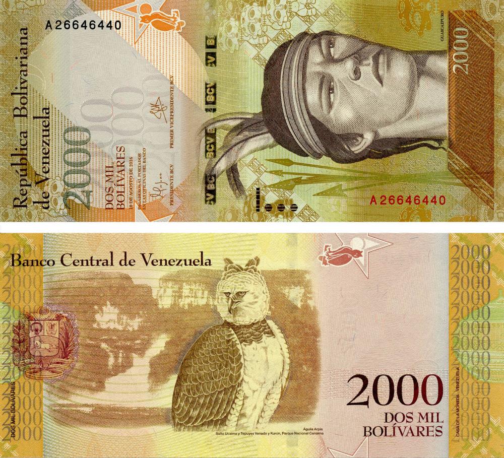 Коллекционная банкнота Венесуэла 2000 боливар 2016 UNC Птица Сова P96 (Б07220)