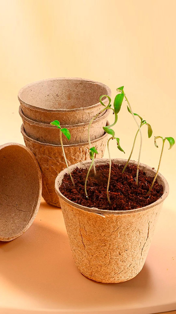 Набор для выращивания растений с автополивом и аквариумом (455056029) - фото 5 Набор для выращивания растений с автополивом и аквариумом (455056029) - фото 5