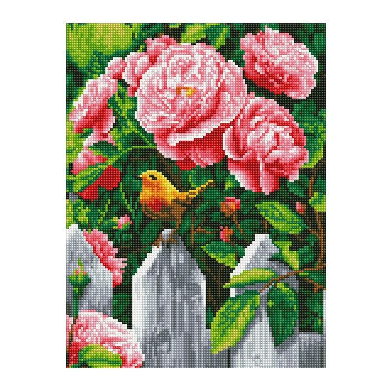 Алмазная мозаика Rainbow Art Птичка на заборе 40х30 см (EJ1360)