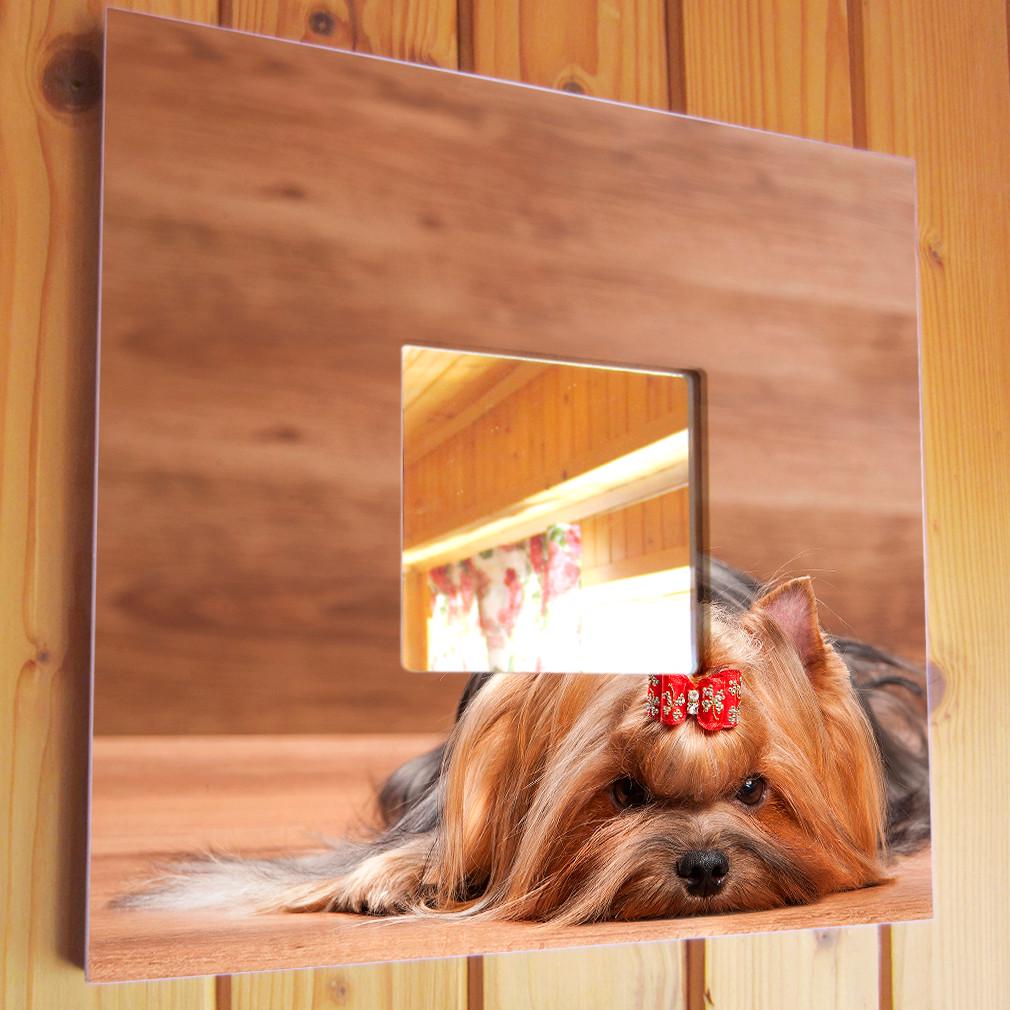 Зеркало декоративное Йоркширский терьер 260х260 мм (M03756)
