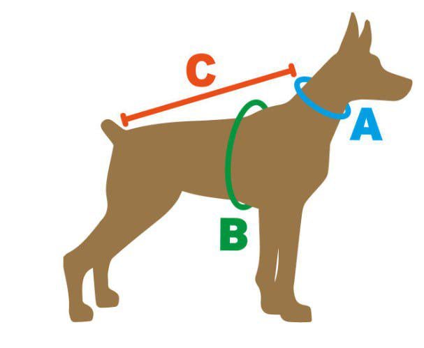 Попона KARELINE из стеганой плащевки на флисе S (90032/11) - фото 3