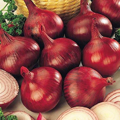 Насіння Цибуля Florium на стрічці Веселка 5м (18356) - фото 2 Насіння Цибуля Florium на стрічці Веселка 5м (18356) - фото 2