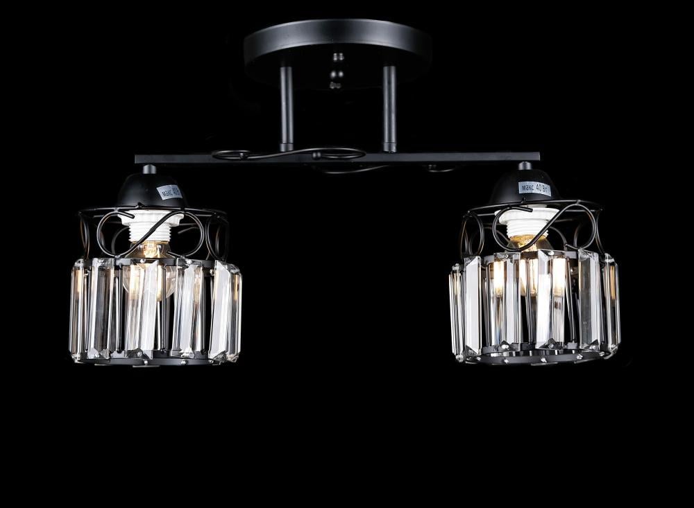 Люстра с плафонами Ray L7331/2 BK (IR006032)