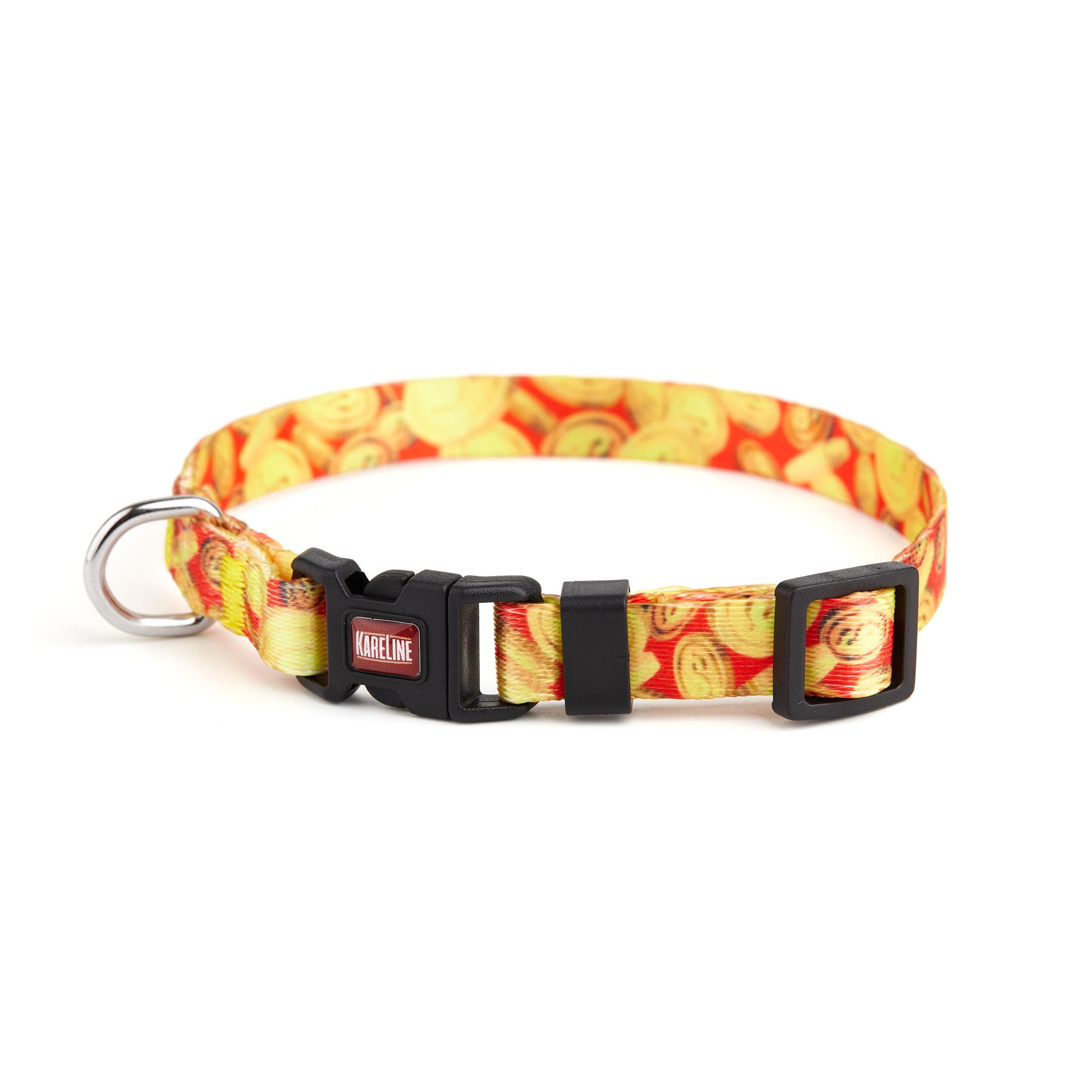 Нашийник KareLine MONEY з нейлону з пластиковою пряжкою 10 мм 250-300 мм (0800/2)