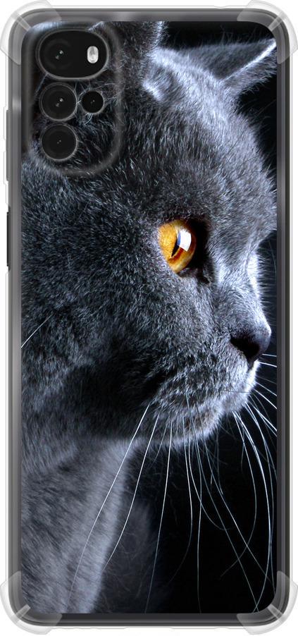 Чохол на Motorola G22 Гарний кіт (3038sp-2681-42517)
