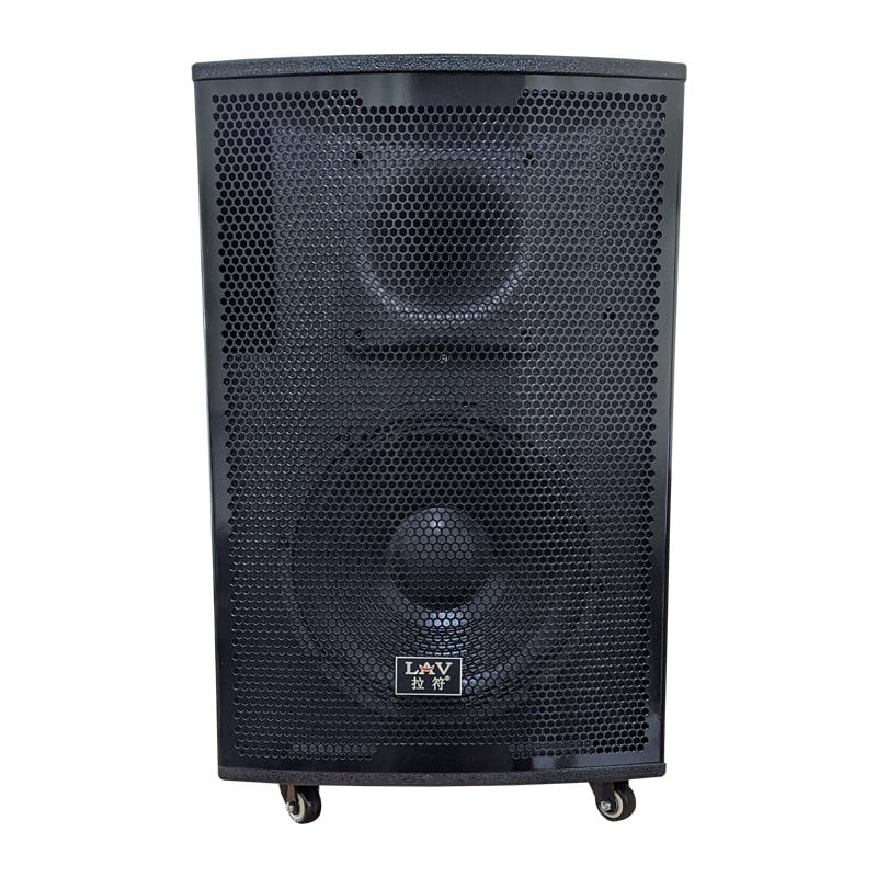 Акустическая система LAV E-12 800W с микрофоном (1311860866)