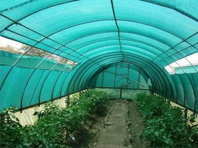 Сетка Добрая сеточка тень 45% 6х20 м (28263793) - фото 19