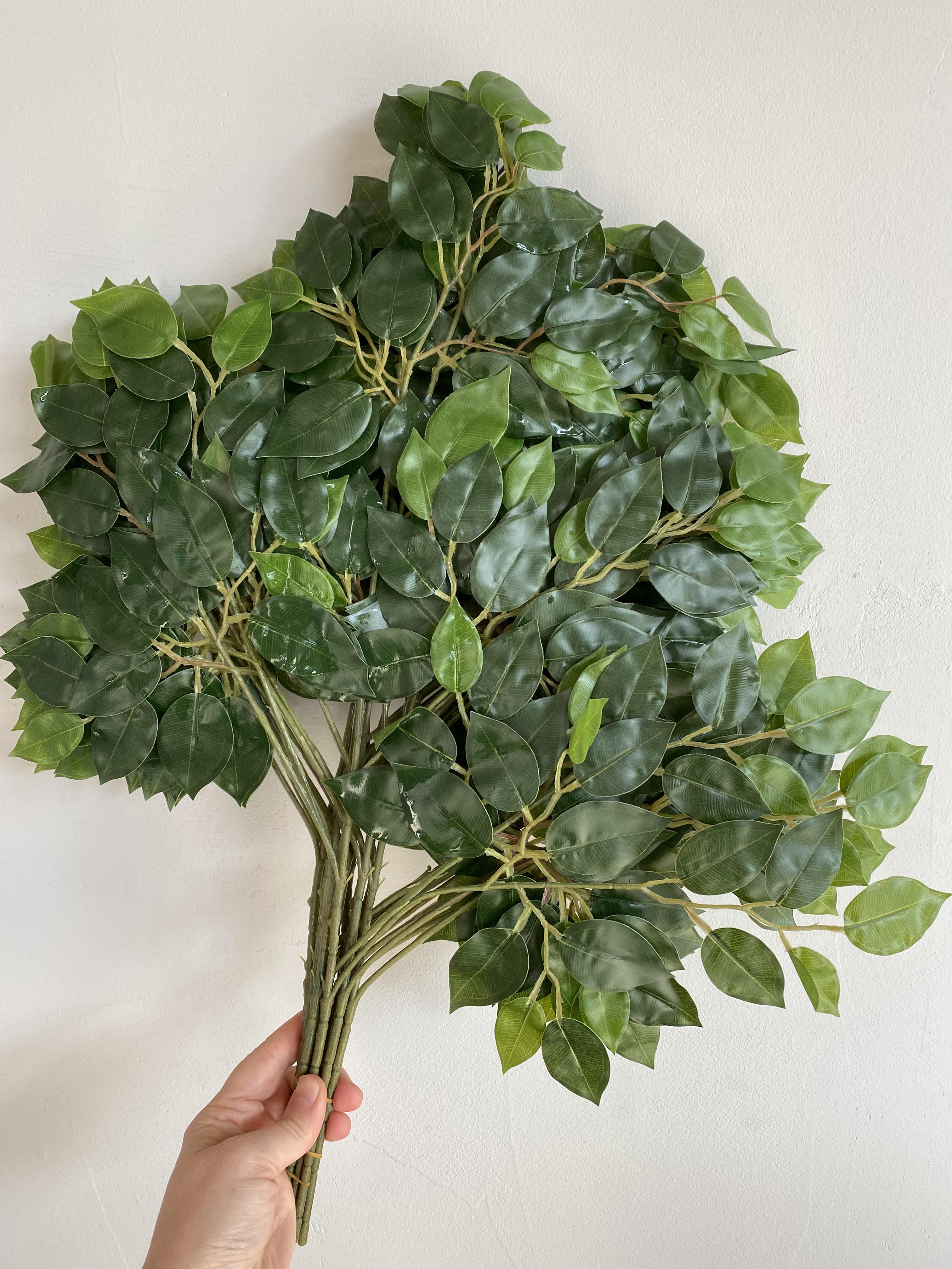 Фікус Бенджаміна штучний пачка 12 шт. Зелений - фото 2 Фікус Бенджаміна штучний пачка 12 шт. Зелений - фото 2