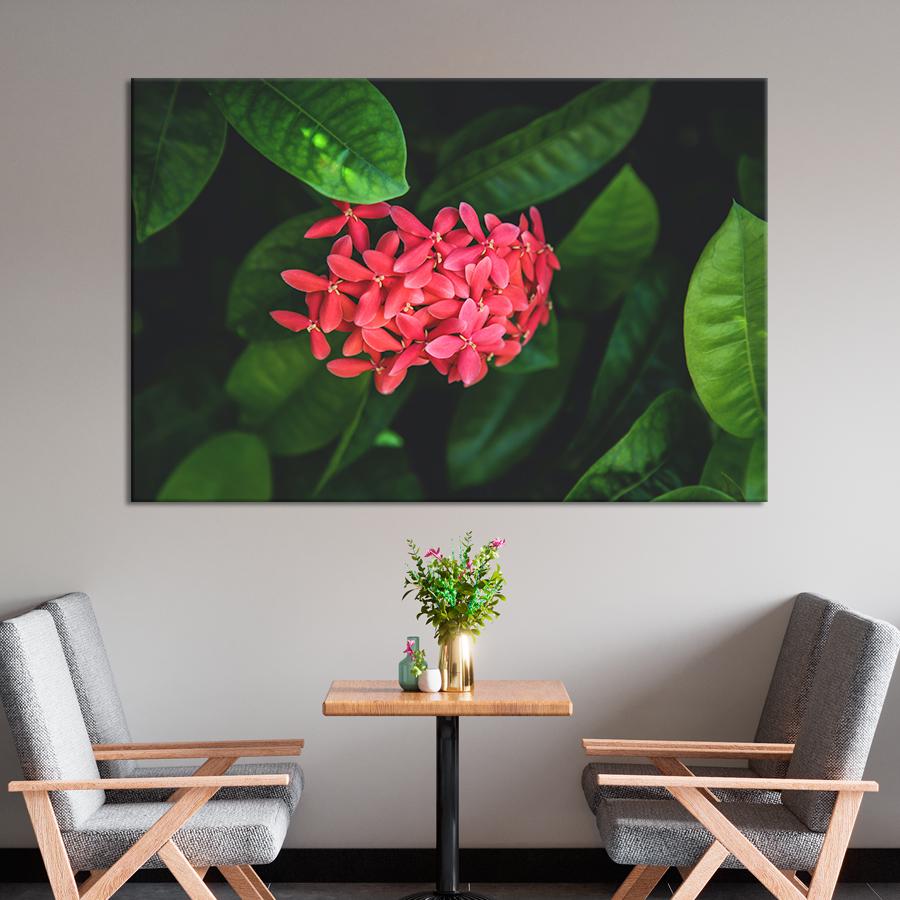 Картина цветы и растения Нежные цветы иксора 120x80 см (A983-1)