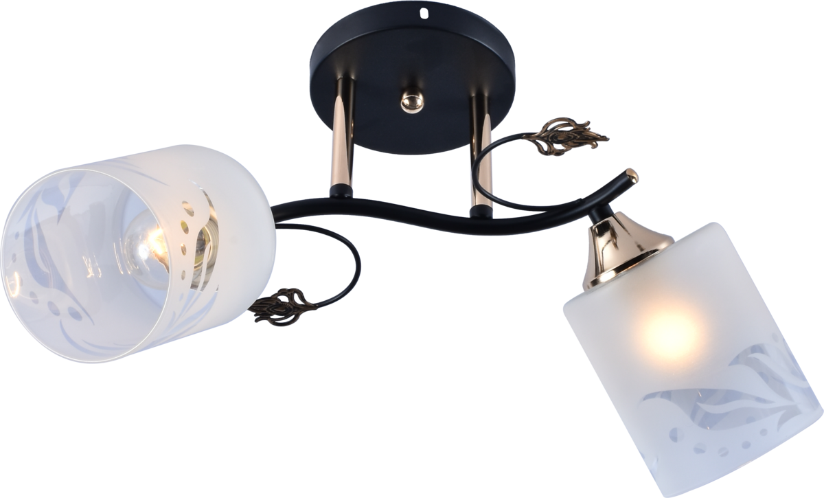 Люстра потолочная Light House SRS-20702/2 плафон белый матовый с узором Черный/Золотой Люстра потолочная Light House SRS-20702/2 плафон белый матовый с узором Черный/Золотой