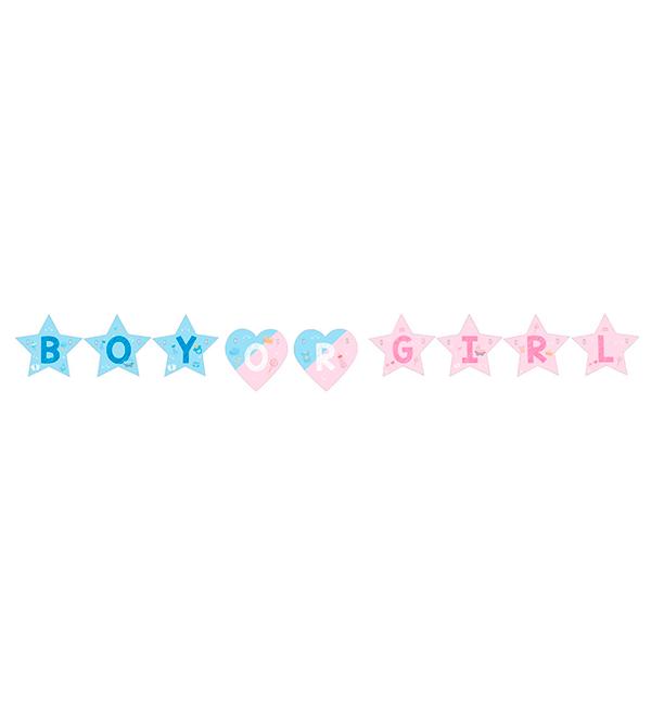 Бумажная гирлянда Boy or girl 2 м Бумажная гирлянда Boy or girl 2 м