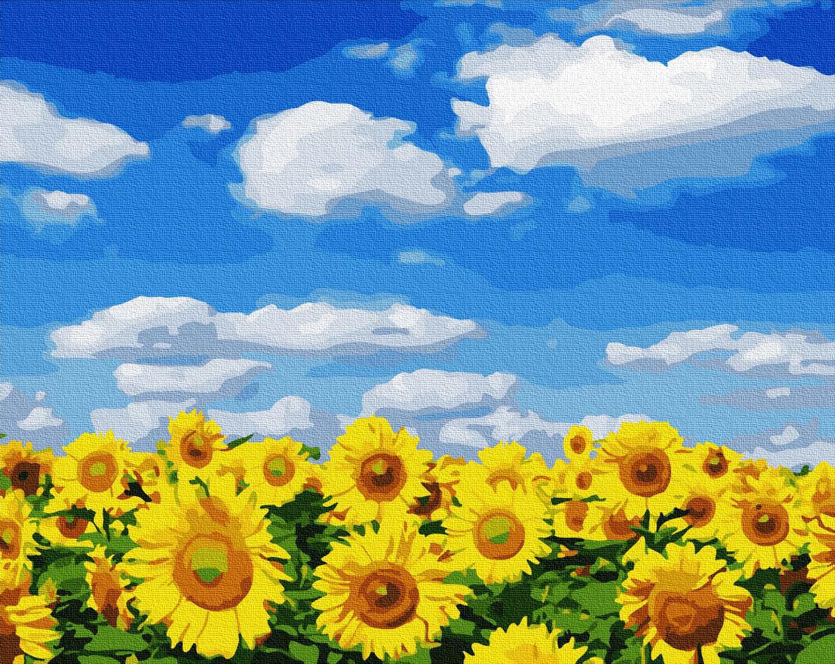 Картина по номерам Brushme Соняшникове поле 40х50 см (BRM32422) Картина по номерам Brushme Соняшникове поле 40х50 см (BRM32422)