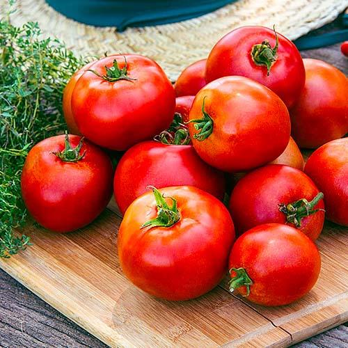 Семена Томат Florium Фаворит (17334)