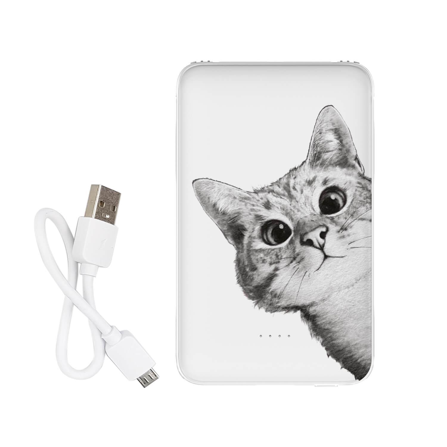 Повербанк с принтом Эй, Кот 5000 mAh
