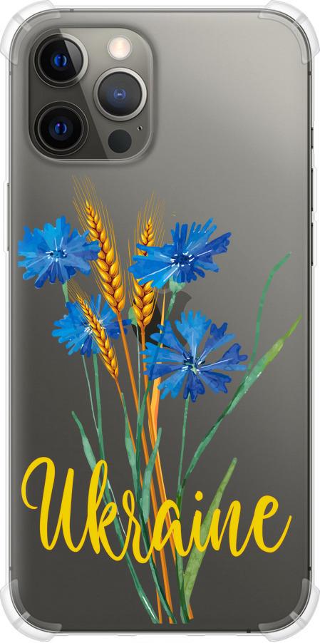 Чехол на iPhone 12 Pro Max Ukraine v2 (5445sp-2054-42517)