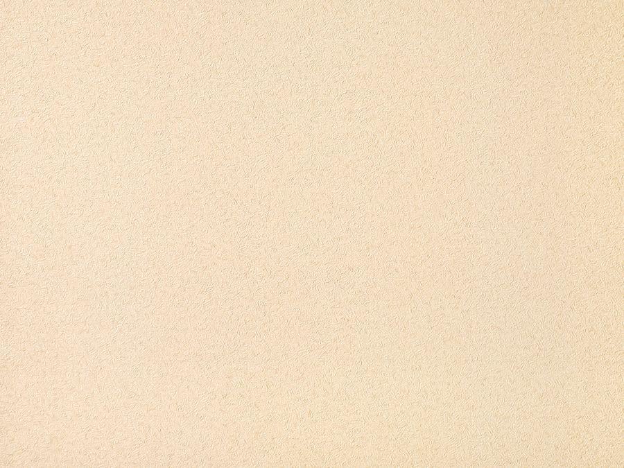 Шпалери вінілові Status 917-21 на флізеліновій основі 1,06х10,05 м