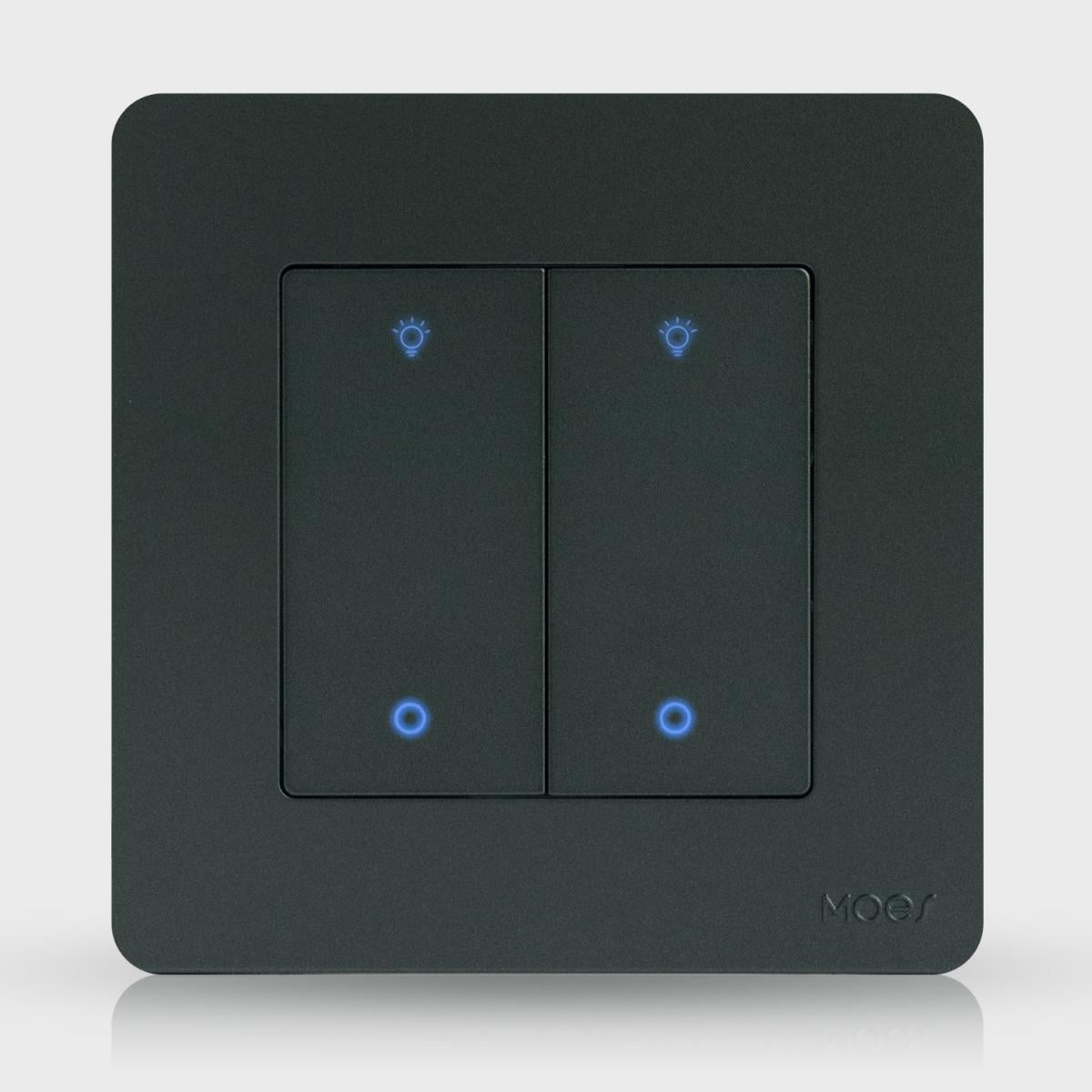Дымер Tuya smart Zigbee Moes Star Ring 2 клавиши Серый