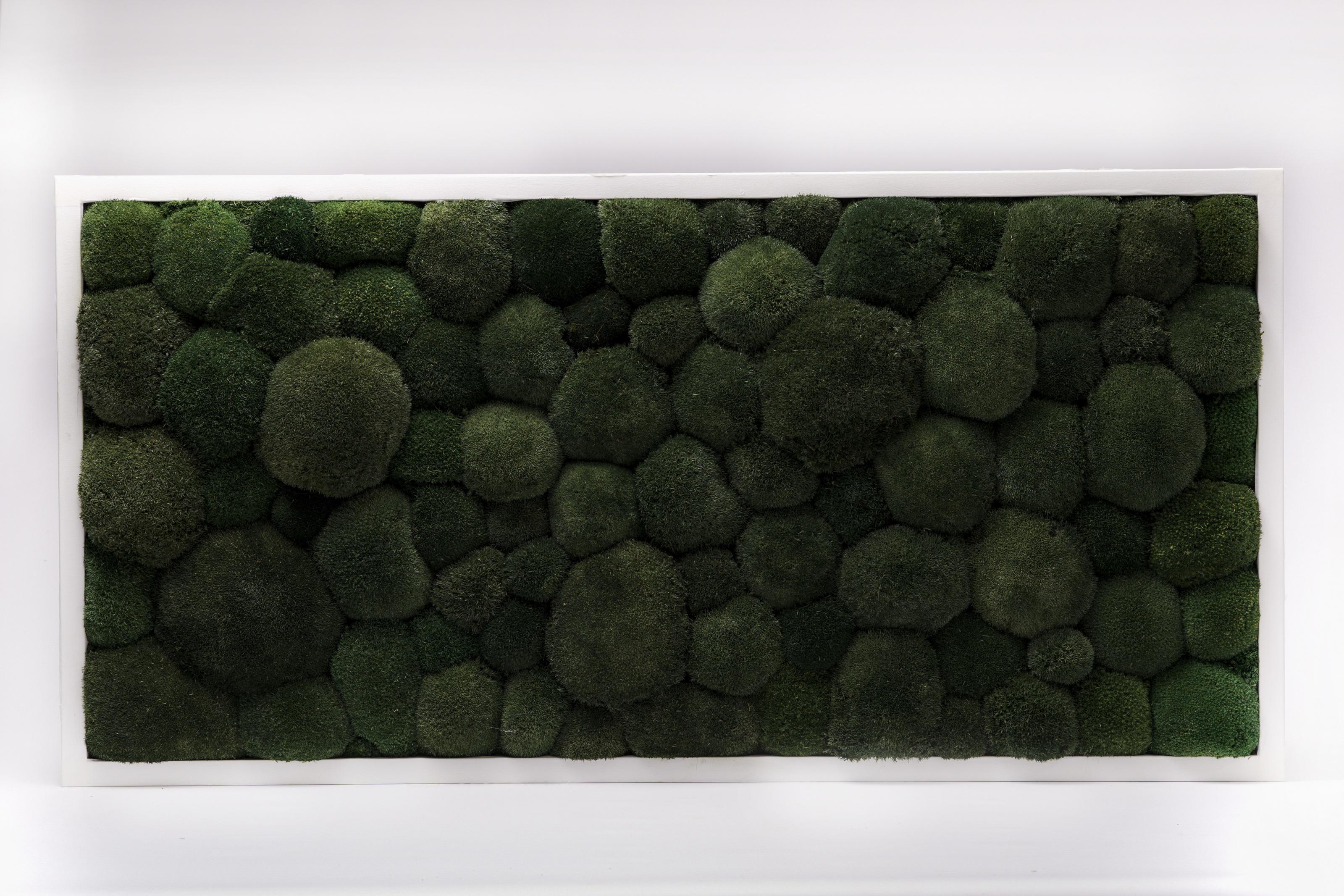 Картина из мха Organic Design Кочка 802 120x60 см (802-120-60) Картина из мха Organic Design Кочка 802 120x60 см (802-120-60)