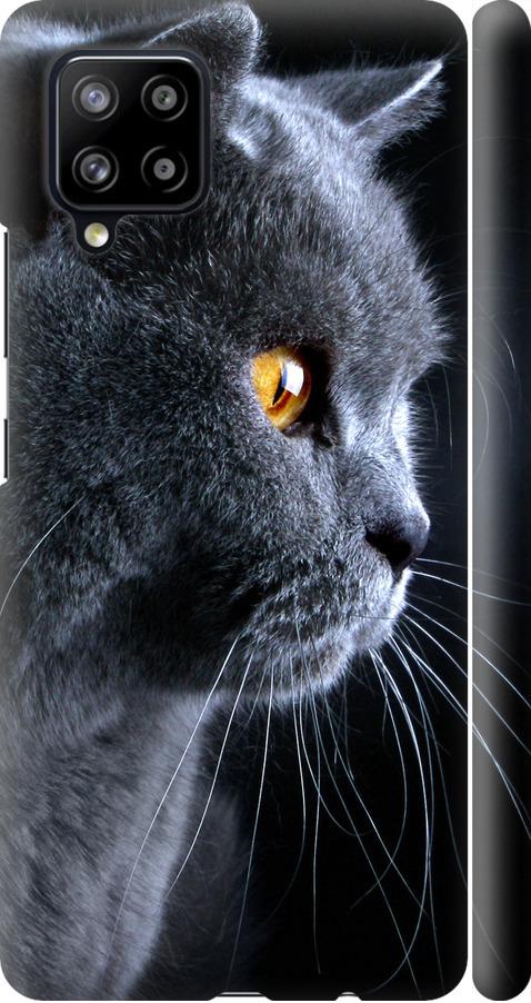 Чехол на Samsung Galaxy A42 A426B Красивый кот (3038m-2098-42517)