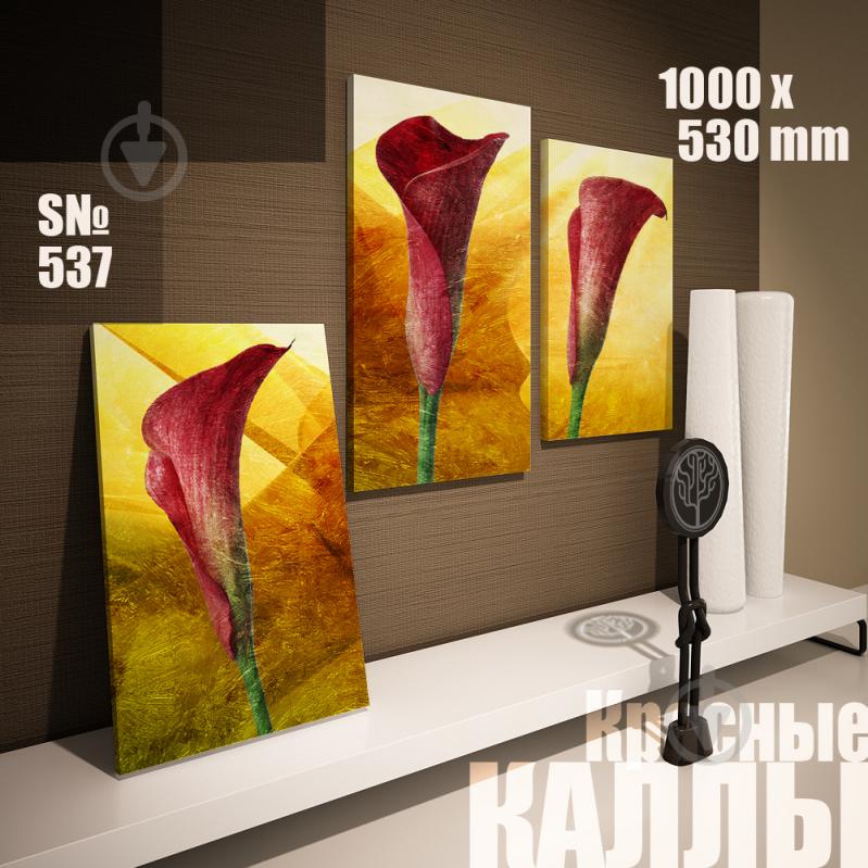 Модульная картина Декор Карпаты красные каллы 100х53см (s537)
