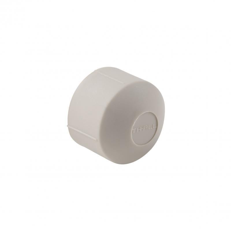 Заглушка PPR Thermo Alliance d 25 мм (SD00029205)
