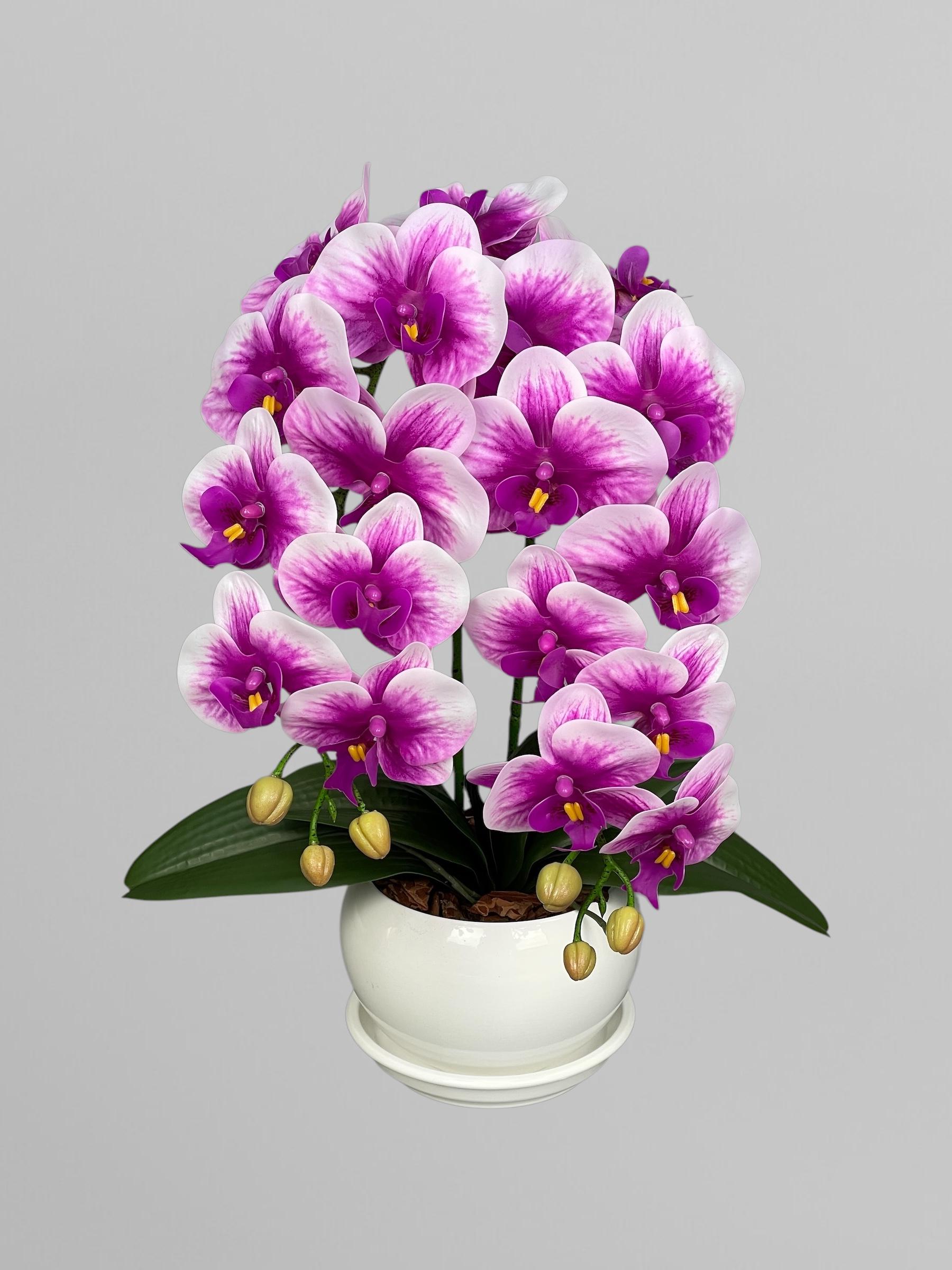 Композиция из искусственных орхидей из латекса 2 веточки в белом керамическом кашпо Фуксия с белыми краями (А135)