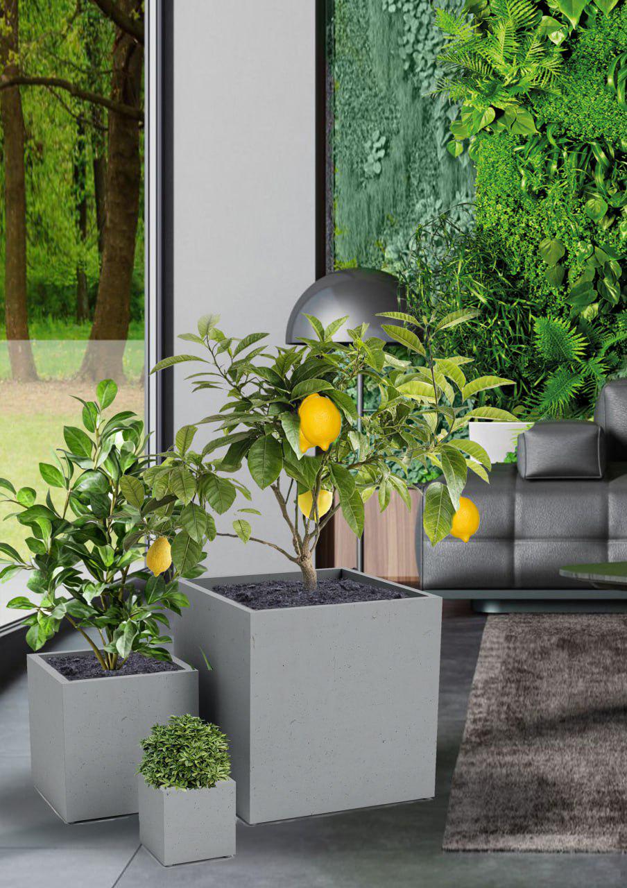 Горщик бетонний Міцно Квадро M 600х600х600 мм Сірий (10357) - фото 2 Горщик бетонний Міцно Квадро M 600х600х600 мм Сірий (10357) - фото 2