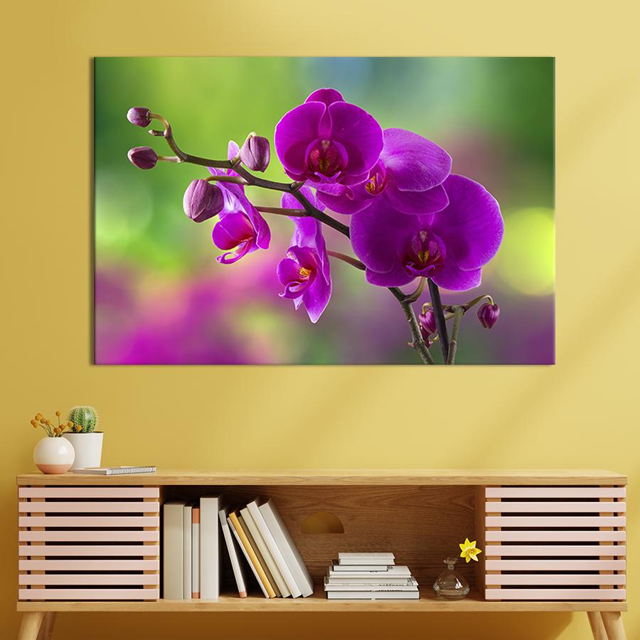 Картина на холсте Яркая орхидея 51x34 см (238-1)