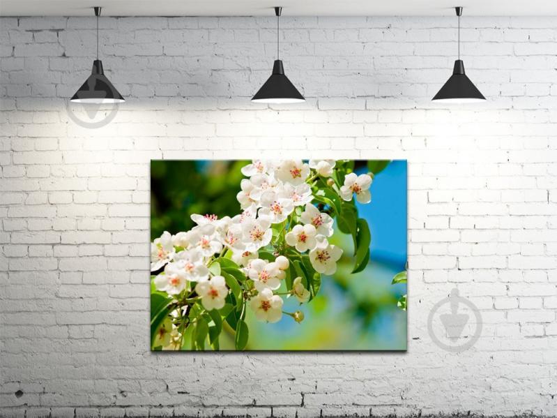 Картина на холсте ProfART S4560-c1470 60 x 45 см Цветы (hub_tbsp92998)