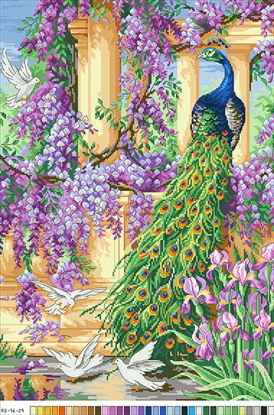 Канва с рисунком для вышивки нитками Павлин А3-16-029
