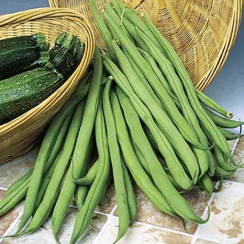 Семена Квасоля Florium спаржева Монтана (17332)