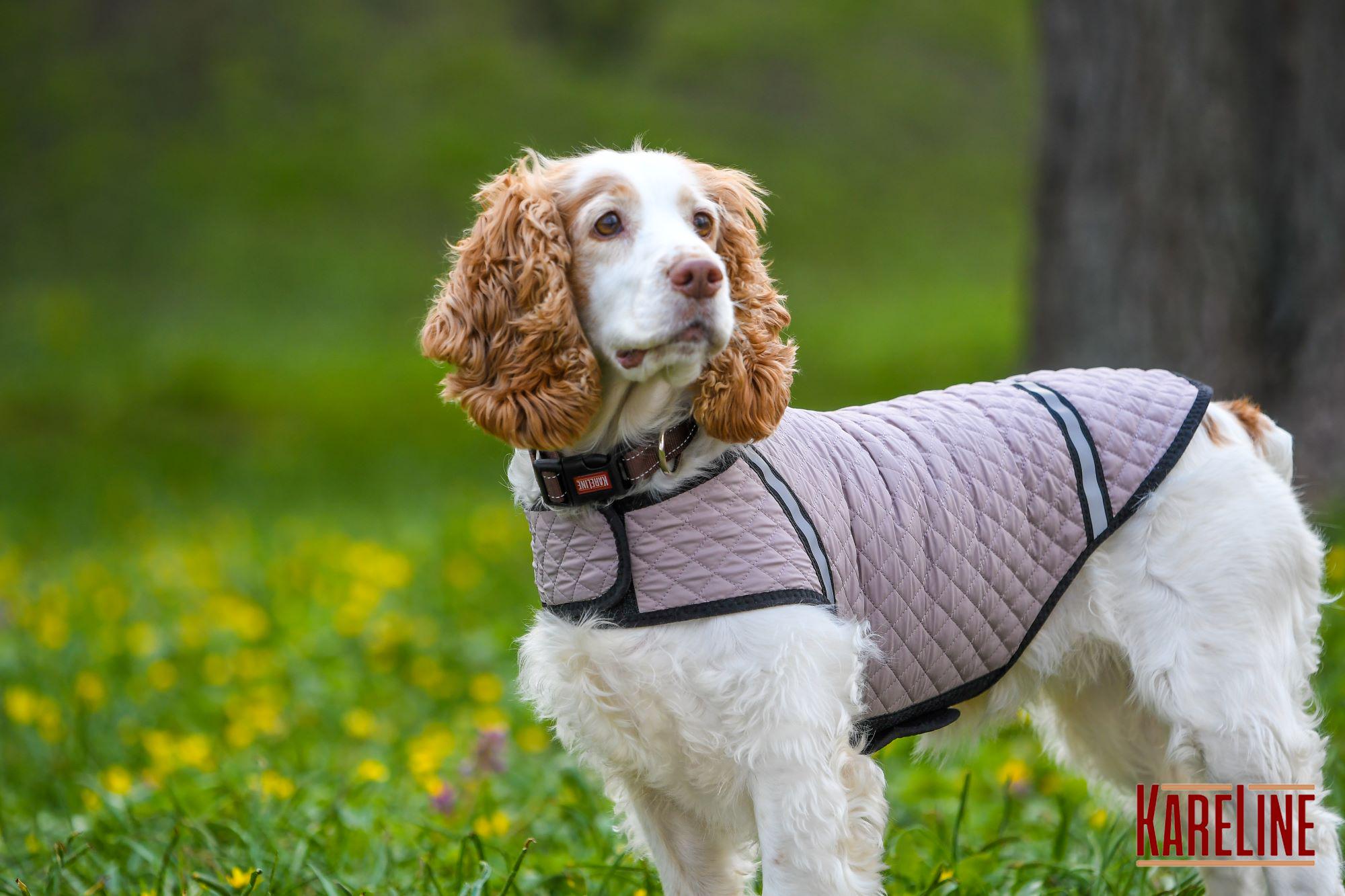 Попона KARELINE из стеганой плащевки на флисе ХХS (90030/43) - фото 2 Попона KARELINE из стеганой плащевки на флисе ХХS (90030/43) - фото 2
