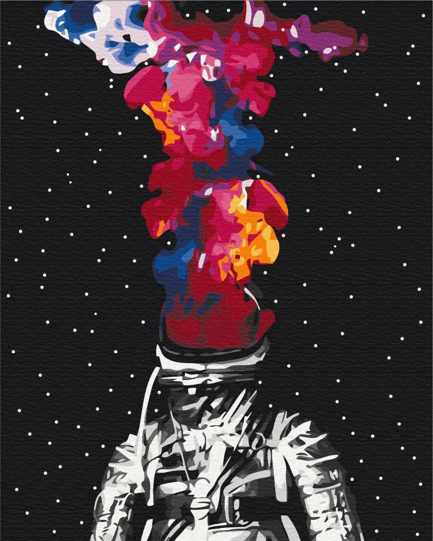 Картина по номерам Brushme Открытый космос 40х50 см (BS35331) Картина по номерам Brushme Открытый космос 40х50 см (BS35331)