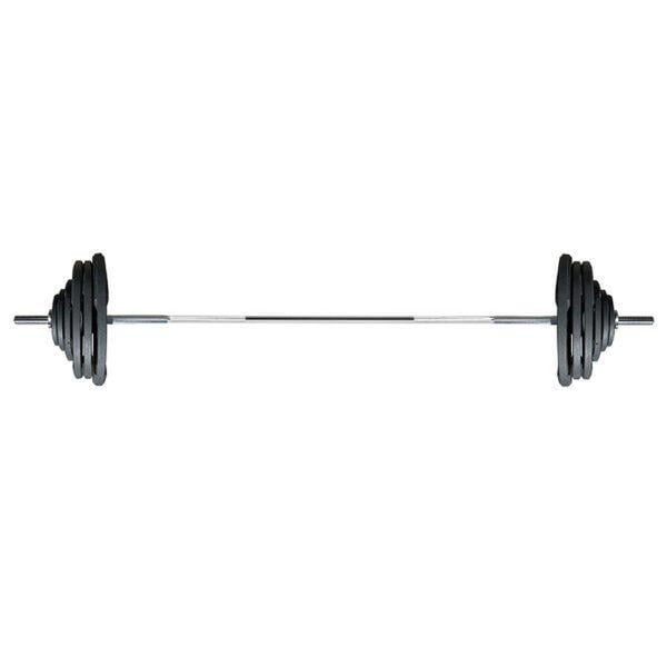 Штанга домашняя Newt Home 83 кг (TI-0201-180-83_newt_NM)