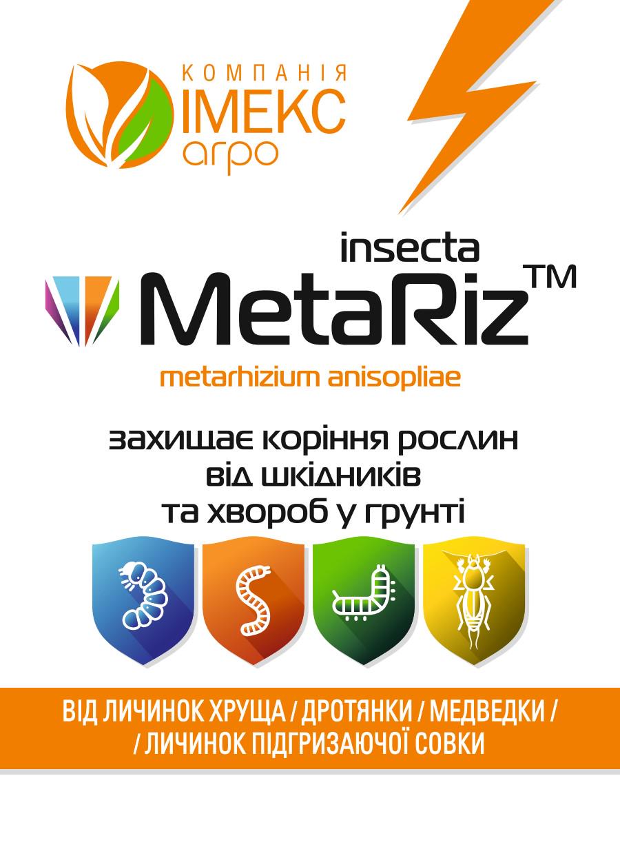 Інсектицид Імекс Агро Insecta MetaRiz Ефективно бореться з капустянкою/дротяником/личинкою травневого хруща та інш 10 г (25503384) - фото 3 Інсектицид Імекс Агро Insecta MetaRiz Ефективно бореться з капустянкою/дротяником/личинкою травневого хруща та інш 10 г (25503384) - фото 3