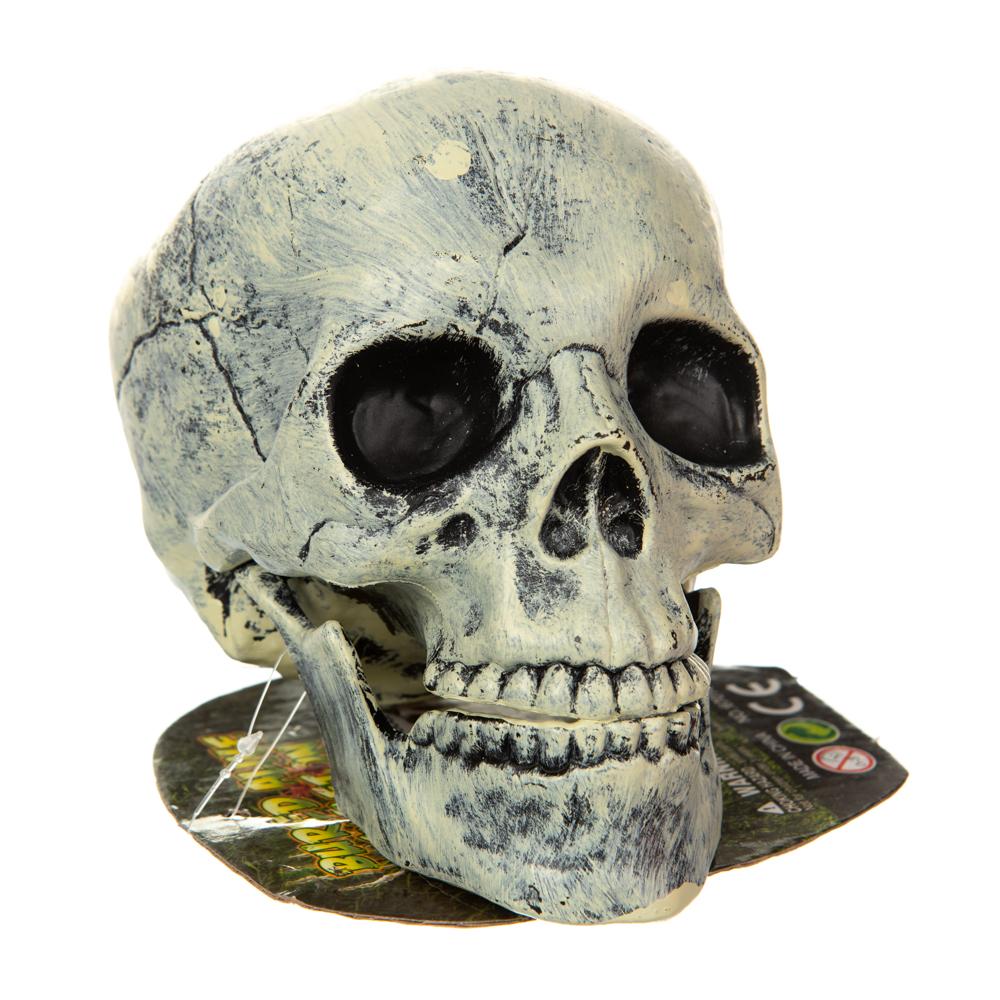 Декор на Хеллоуин Elisey Череп (8811-022)