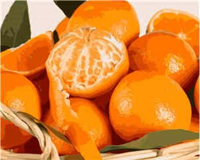 Набір для розпису за номерами Strateg Мандарини 40х50 см (VA-0536-mt)