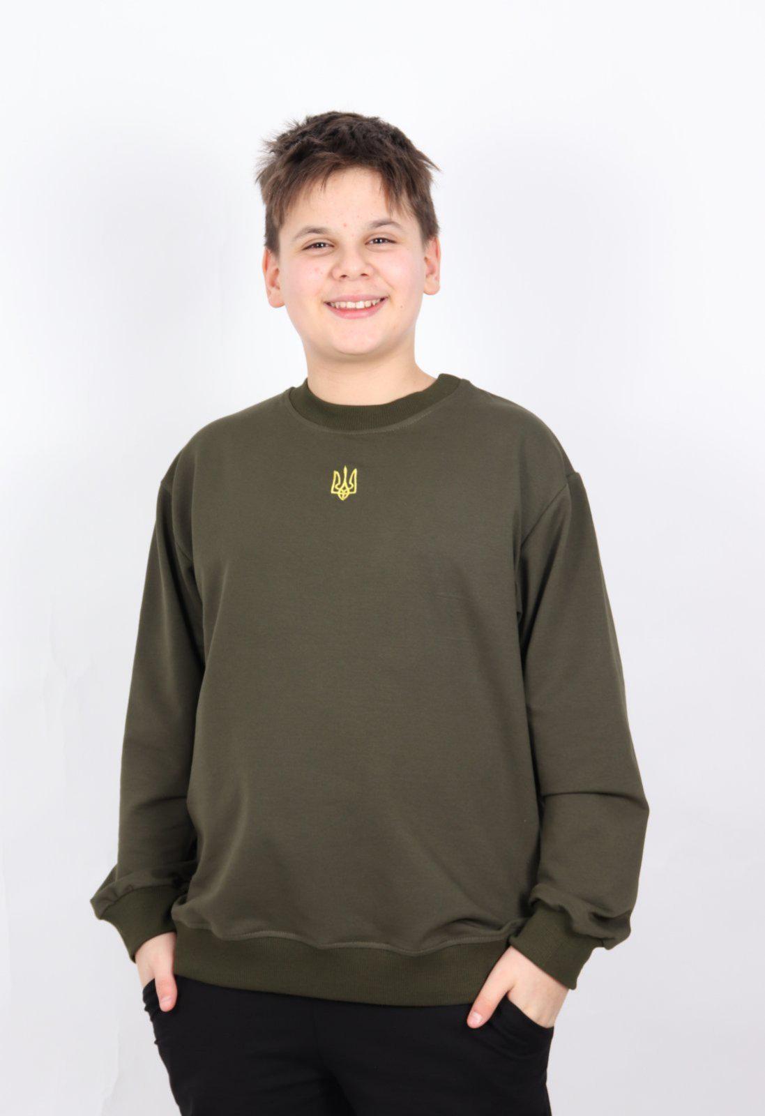 Свитшот с гербом для мальчика р. 158 Хаки (126934)