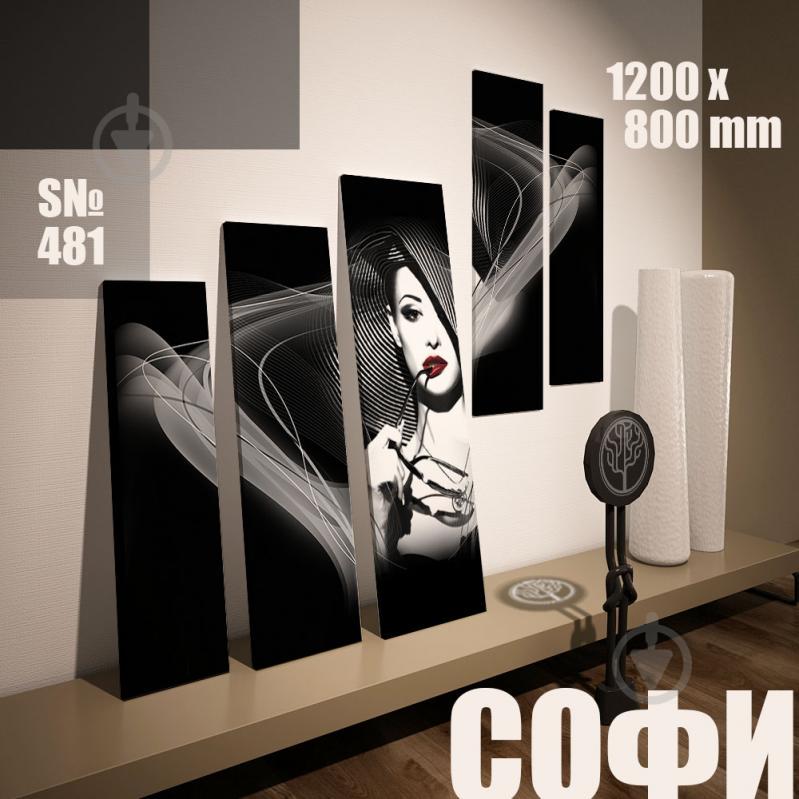 Модульная картина Декор Карпаты Софи 120х80см (s481)