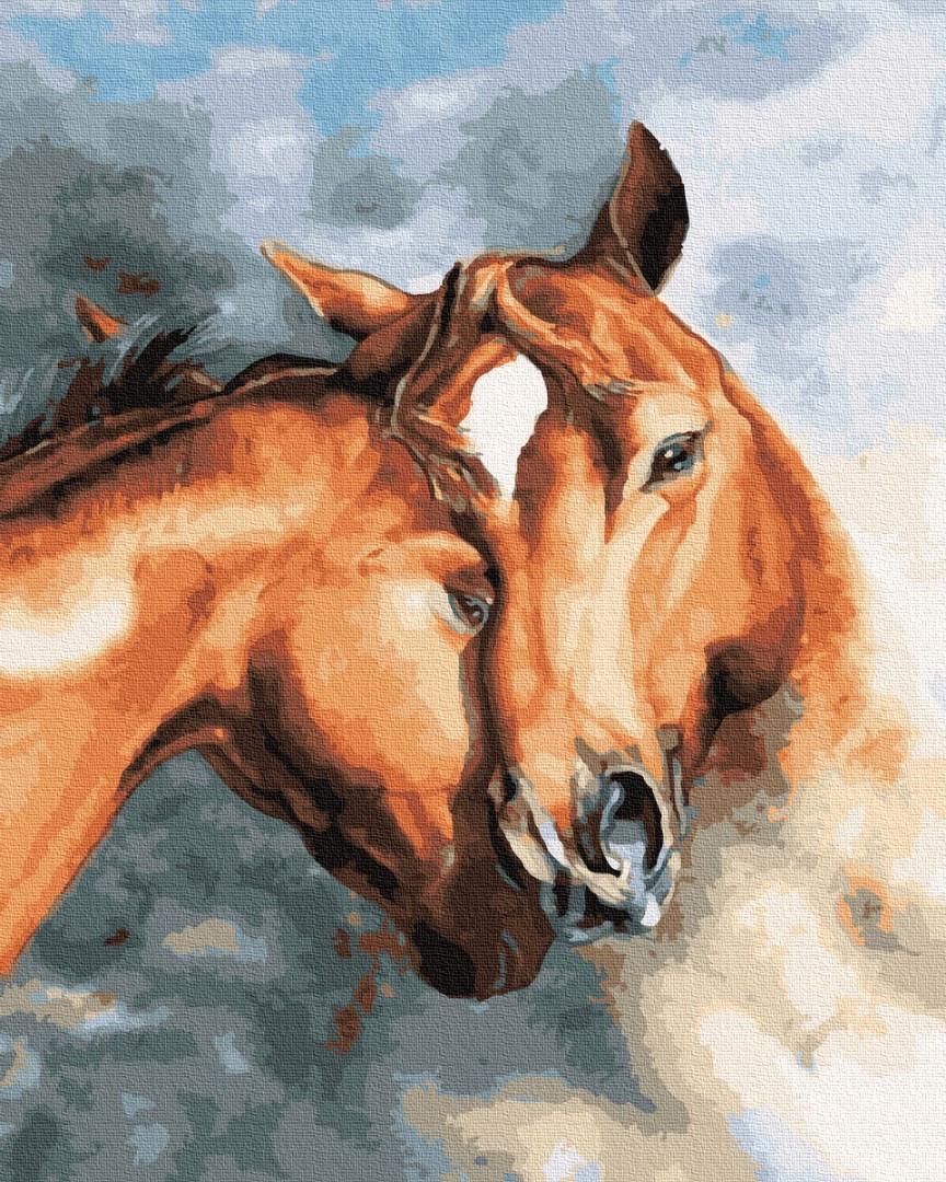 Картины по номерам "Лошадиная нежность" (BS28717)