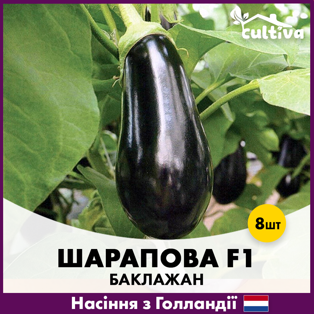 Семена баклажана Rijk Zwaan Шарапова F1 8 шт. (00370)