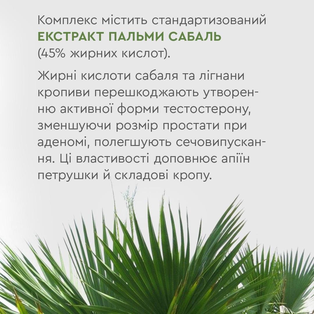 Фітокомплекс нормалізація чоловічої сили Choice Phyto Пальма Сабаль 30 капсул (99101075101) - фото 4 Фітокомплекс нормалізація чоловічої сили Choice Phyto Пальма Сабаль 30 капсул (99101075101) - фото 4