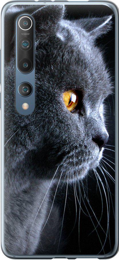 Чохол на Xiaomi Mi 10 Гарний кіт (3038t-1860-42517)