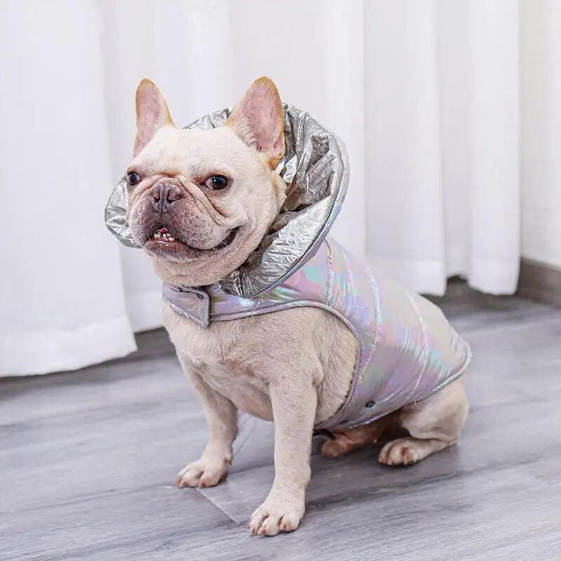 Куртка для собак Super Step S Серый (2342333)