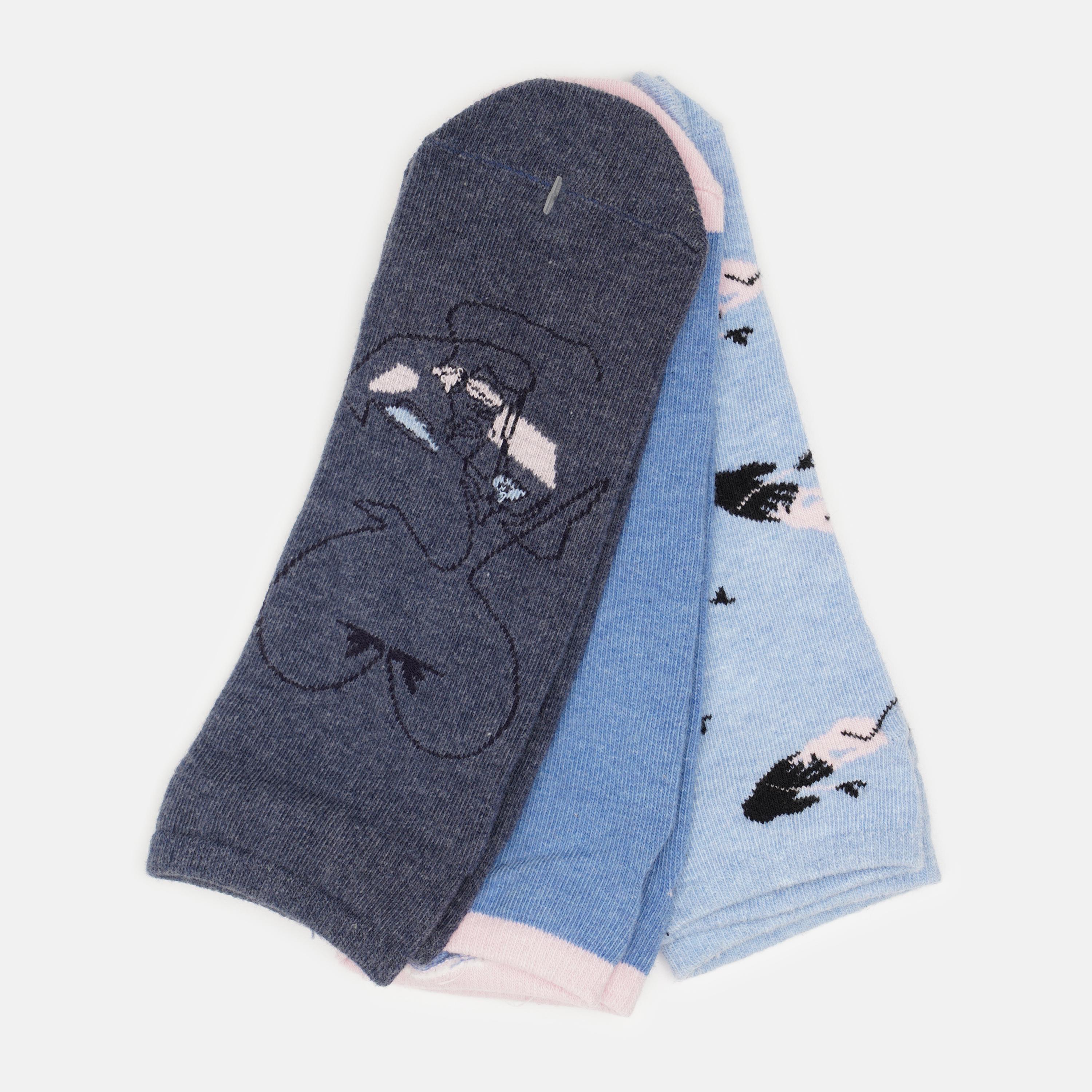 Шкарпетки C&A Принт 3 пари р. 39-42 Синій (214881002)