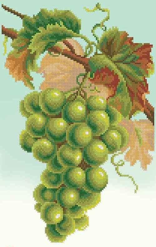 Вышивка бисером Гроздья винограда частичная выкладка заготовка 22х35 см (1379840669)