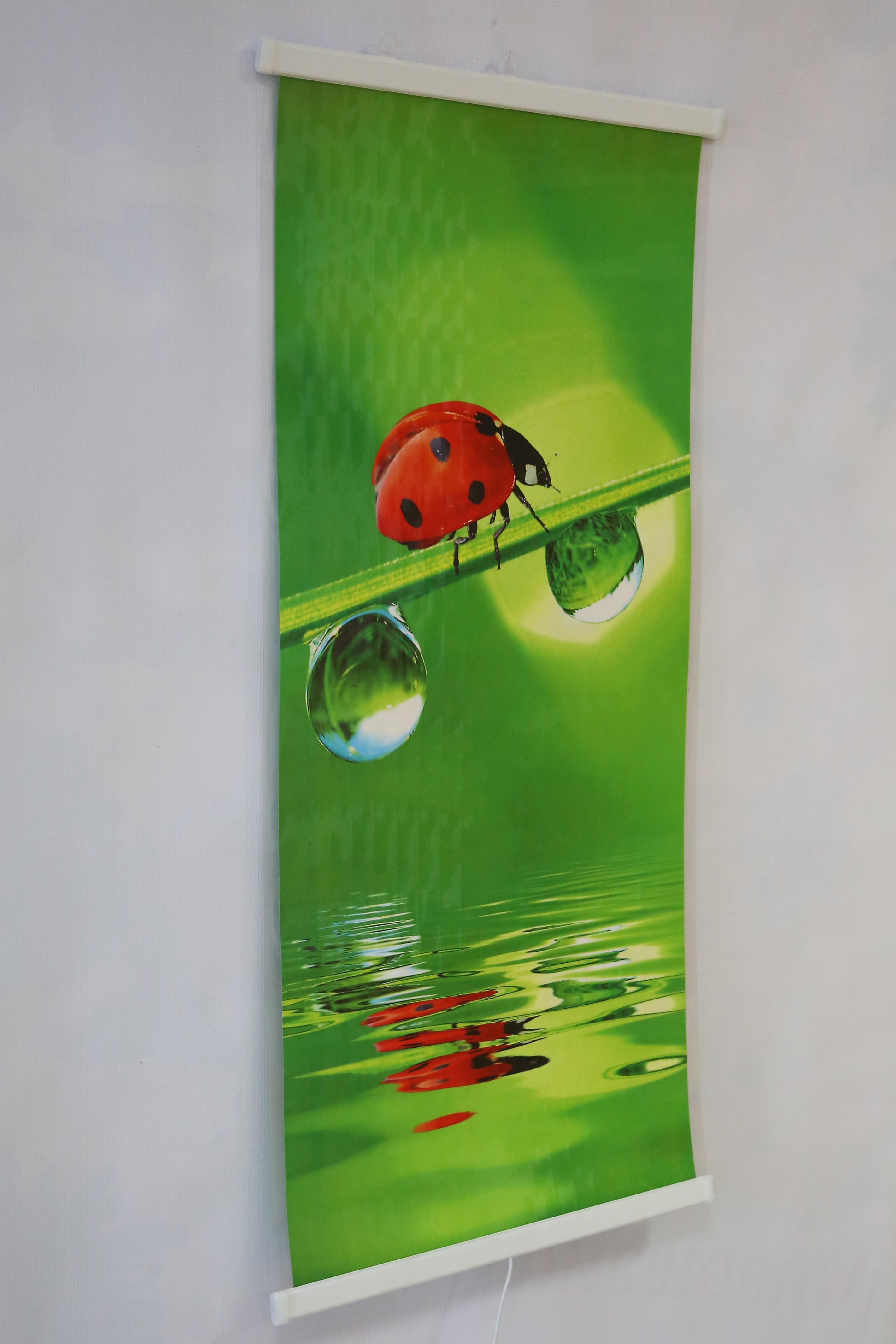 Інфрачервоний обігрівач Сонечко настінний плівковий 200 Вт (23463388) - фото 2