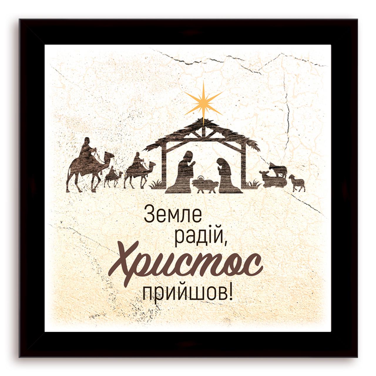 Еко-картина декоративна Земле радій 140х140 мм Коричневий (хрек000210х10ку)
